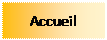 Zone de Texte: Accueil