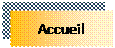Zone de Texte: Accueil